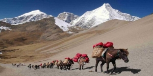 Druk Path Trek